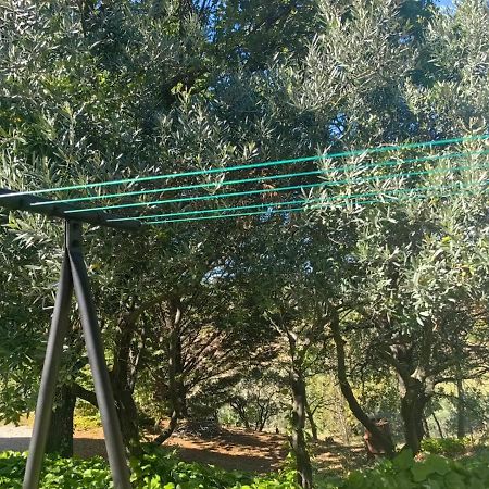 Petit Coin De Paradis En Provence Оп Экстерьер фото